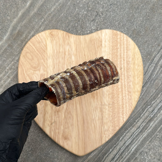 12cm Beef Trachea